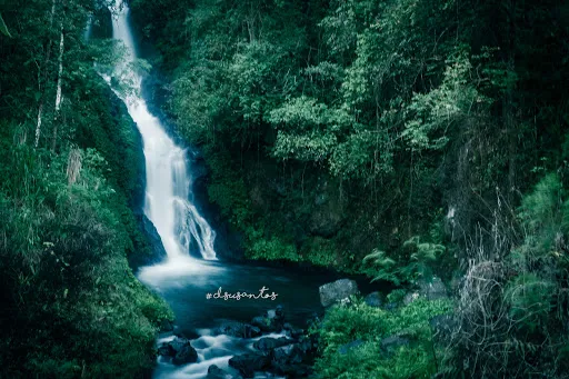 Dedari Waterfall 2