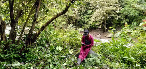 Entrance Gitgit Waterfall 3