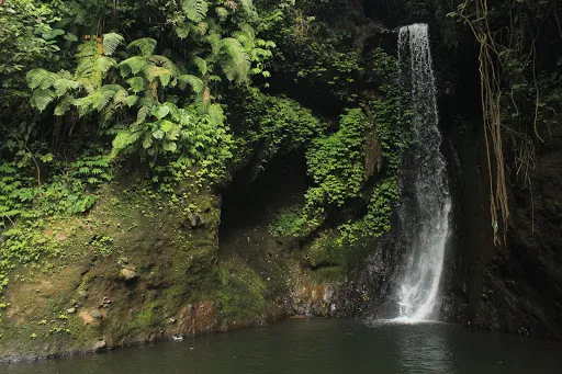 Adrenaline Rush Bali Canyoning 4