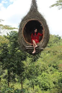 Twin Waterfall Wanagiri 1