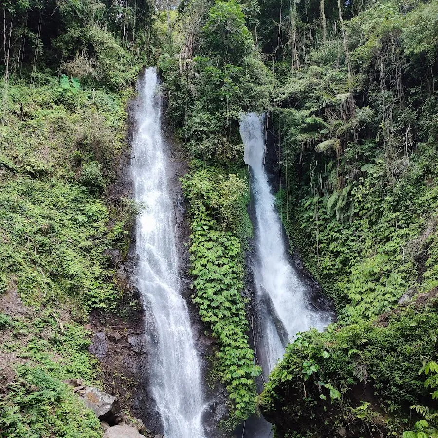 Twin Waterfall Wanagiri 3