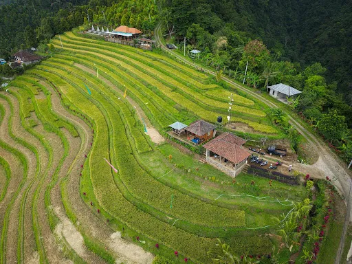 "de best view" puncak landep 3