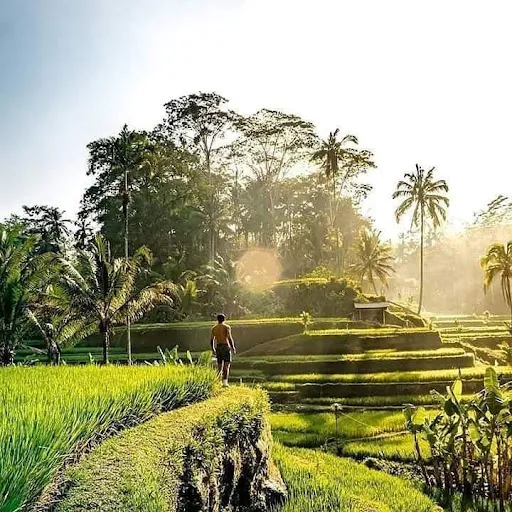 Munduk Danu Bali Tour 1