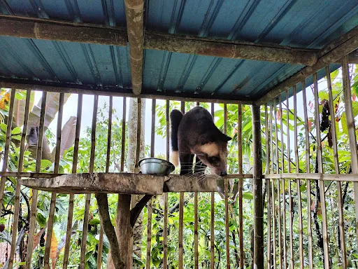 Munduk Danu Bali Tour 4