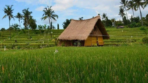 Wavi Cradle Cottage