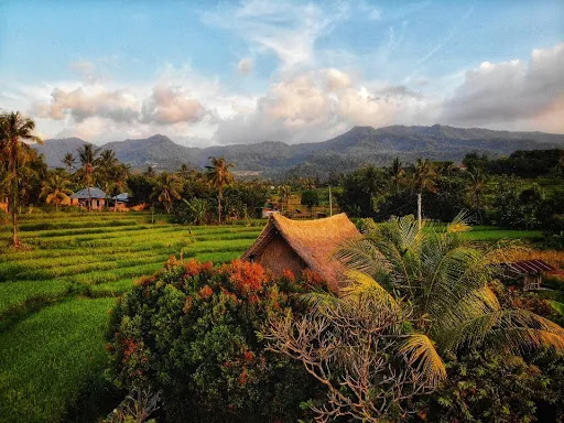 Wavi Cradle Cottage 1