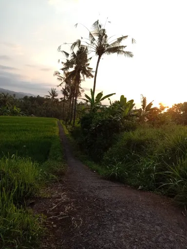 Wavi Cradle Cottage 2