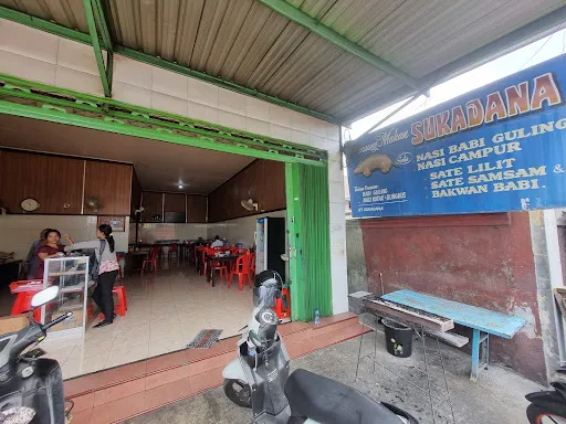 Warung Babi Guling Sukadana 3