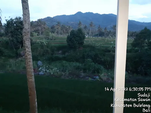 Lotus Guesthouse Sudaji 3