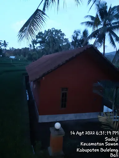 Lotus Guesthouse Sudaji 4