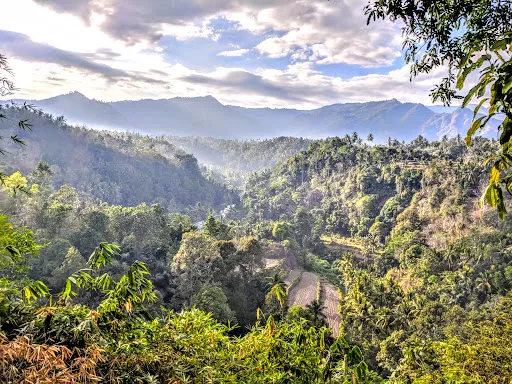 Wisata Kubu Abian Bagus 4