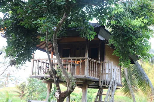 Mesari Cottage