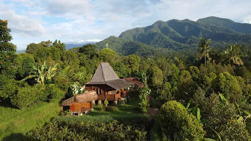 SunsetSala - Sudaji Bali 2