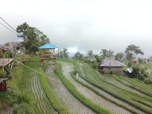 Bali Waterfall Trekking 1