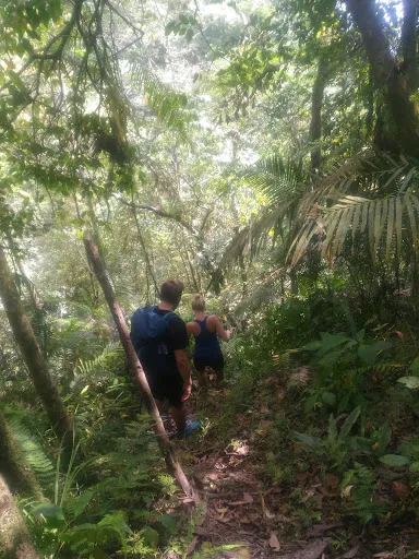 Bali Waterfall Trekking 4
