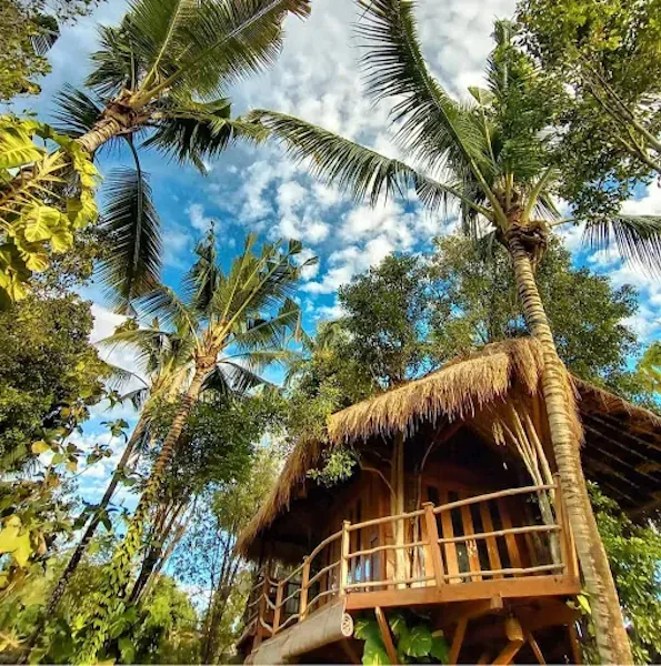 Wavi Eco Tree House 2