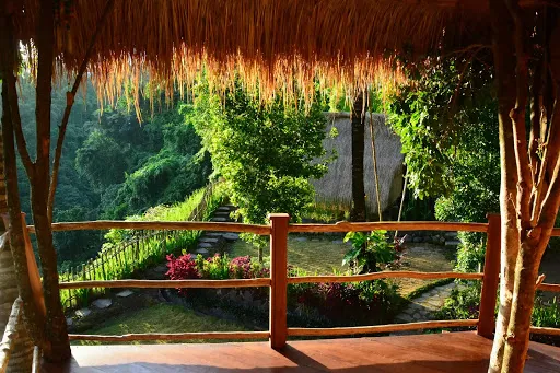 Wavi Eco Tree House 3