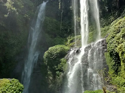 Hendra Guide Francophone Bali 3