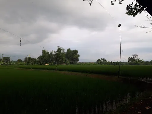 Pura Segara Sangsit 4