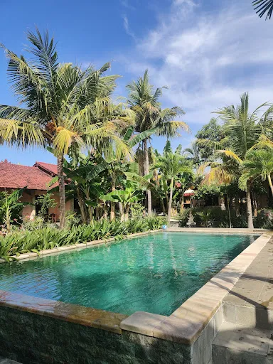 1000 Dream Bungalow 2