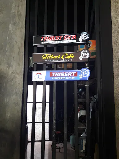 Tribert Gym 1