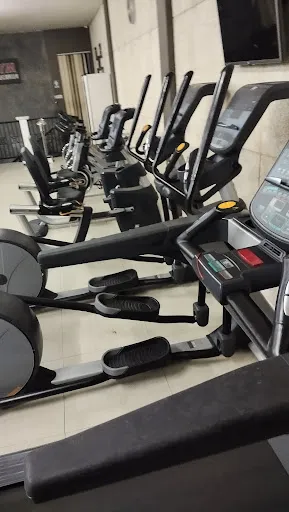 Tribert Gym 4