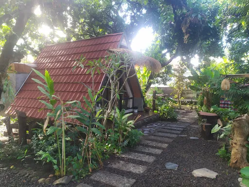 Mango forest 3