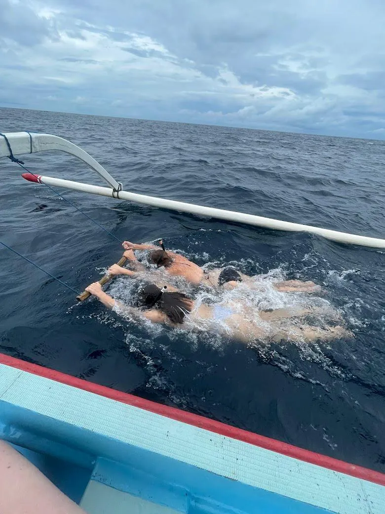 Dolphin Lovina Dewata 4