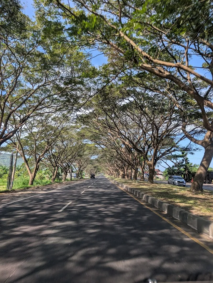 Lovina taxi driver tour by komang 4