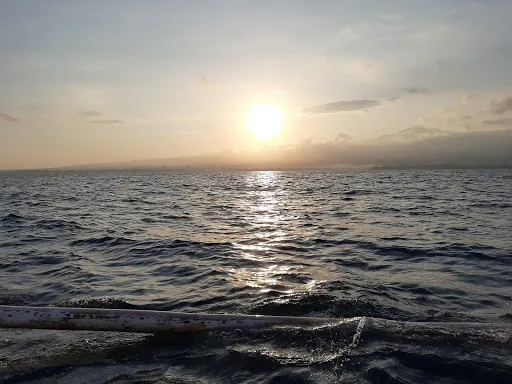 Dolphin Watching and Snorkeling Herman Lovina Tour 1