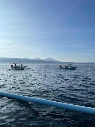 Tiket Dolphin & Snorkling Lovina ( Rian Captain Boat ) 2