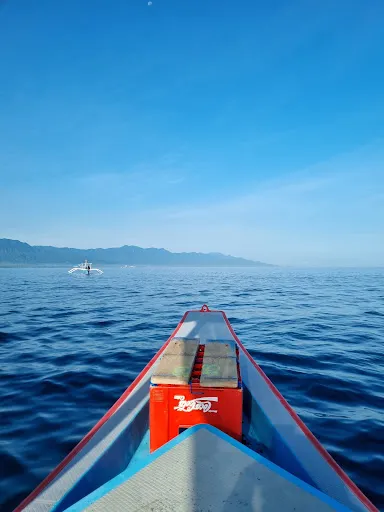 Tiket Dolphin & Snorkling Lovina ( Rian Captain Boat ) 3