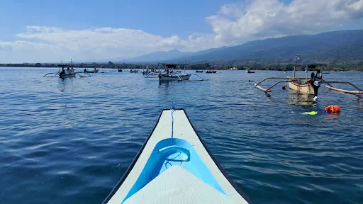 Lovina Dolphin Tour I Snorkeling and Fishing Boat Charters Bali 1