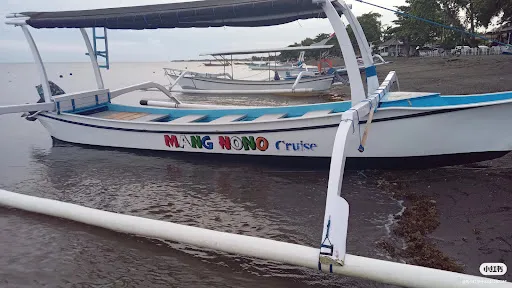 MANG NONO cruise 4