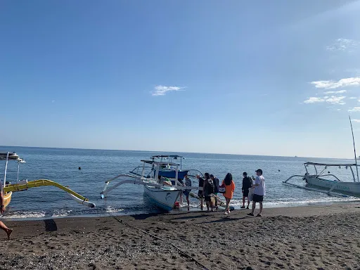 Dolphin swim Lovina 1