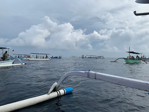 Sewa perahu Lovina Laut Mas 4