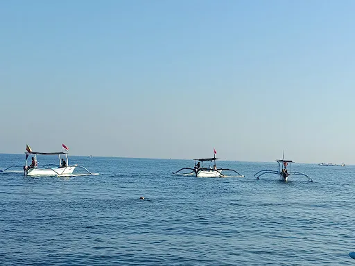 Dolphin Sunrise Lovina 2