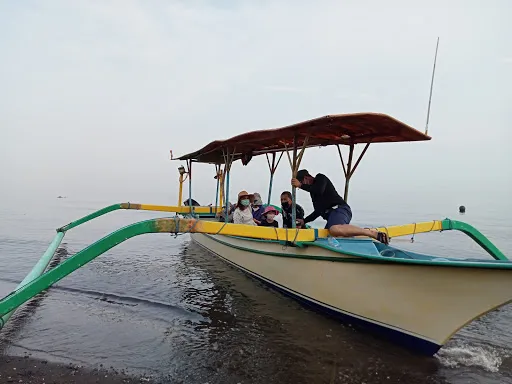 Dolphin Sunrise Lovina 3