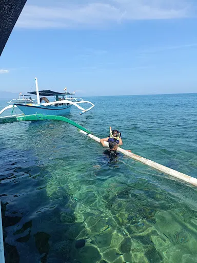 Dolphin Sunrise Lovina 4