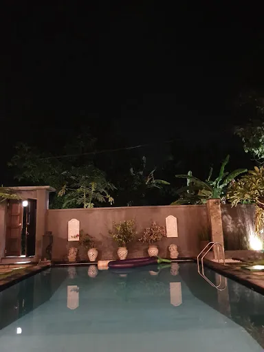 Mias Jungle House 4