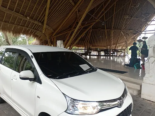 Peksa Tour - Bali Tour, Lovina Transport, Hotel Transfer, Activity 1