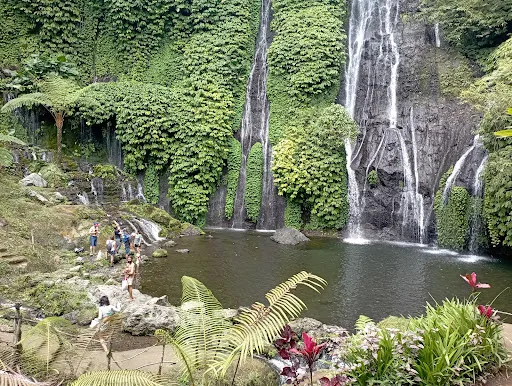 Peksa Tour - Bali Tour, Lovina Transport, Hotel Transfer, Activity 2