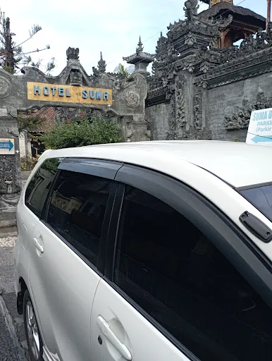 Peksa Tour - Bali Tour, Lovina Transport, Hotel Transfer, Activity 3