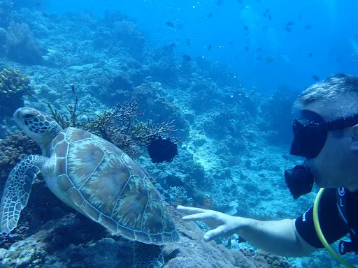 Arrows Dive Centre 4