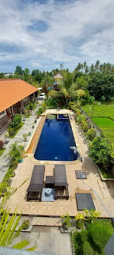 Summer Guesthouse Lovina 2