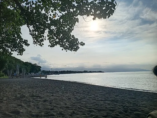 Lovina Dolphin Statue 2