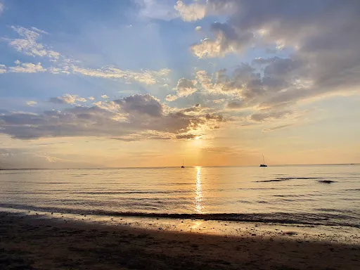 Lovina Dolphin Statue 4