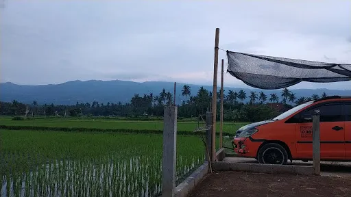 Ari North Bali tour 3