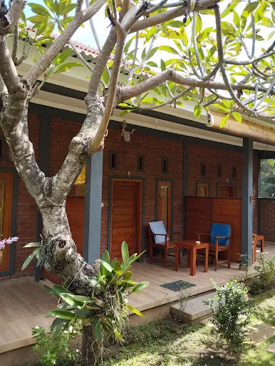 Tunjung guest house lovina beach 4