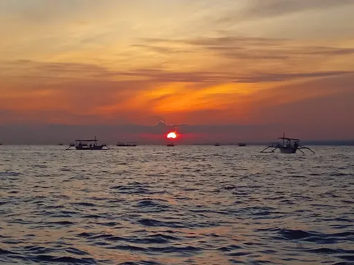 tana captain dolphin tour 4